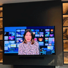 Collection image for: White COB LED Strips