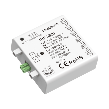 6CH Wireless Single Channel Connectable Controller Receiver