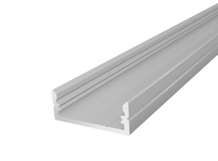 IP65 Walkover Profile 19mm Silver Finish & Semi Clear Cover (2M)