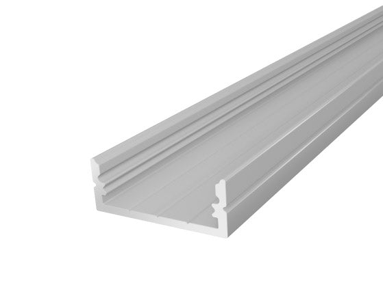 IP65 Walkover Profile 19mm Silver Finish & Semi Clear Cover (2M)