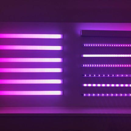 Hot Pink to Light Pink RGBW 30 Digital Strip Tape Gradient Effect