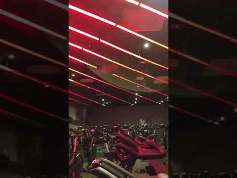 10mm RGBW Digital LED Tape (RGB+4000K) 60LED per meter (24W/M) SMD5050 5V 5M